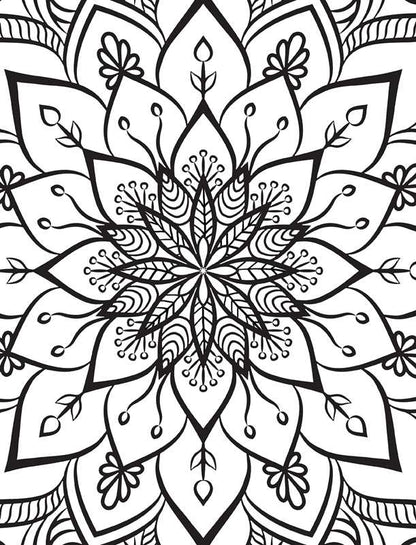 Kaleidoscope: Fabulous Gel Pen Coloring Kit by Editors of Silver Dolphin Books