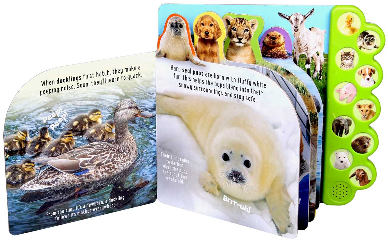 Discovery: Noisy Baby Animals! by Thea Feldman