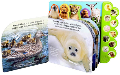 Discovery: Noisy Baby Animals! by Thea Feldman