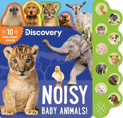 Discovery: Noisy Baby Animals! by Thea Feldman