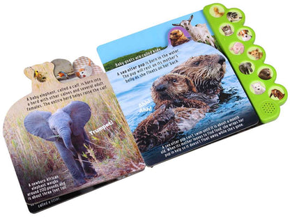 Discovery: Noisy Baby Animals! by Thea Feldman