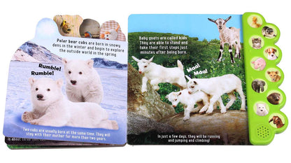 Discovery: Noisy Baby Animals! by Thea Feldman