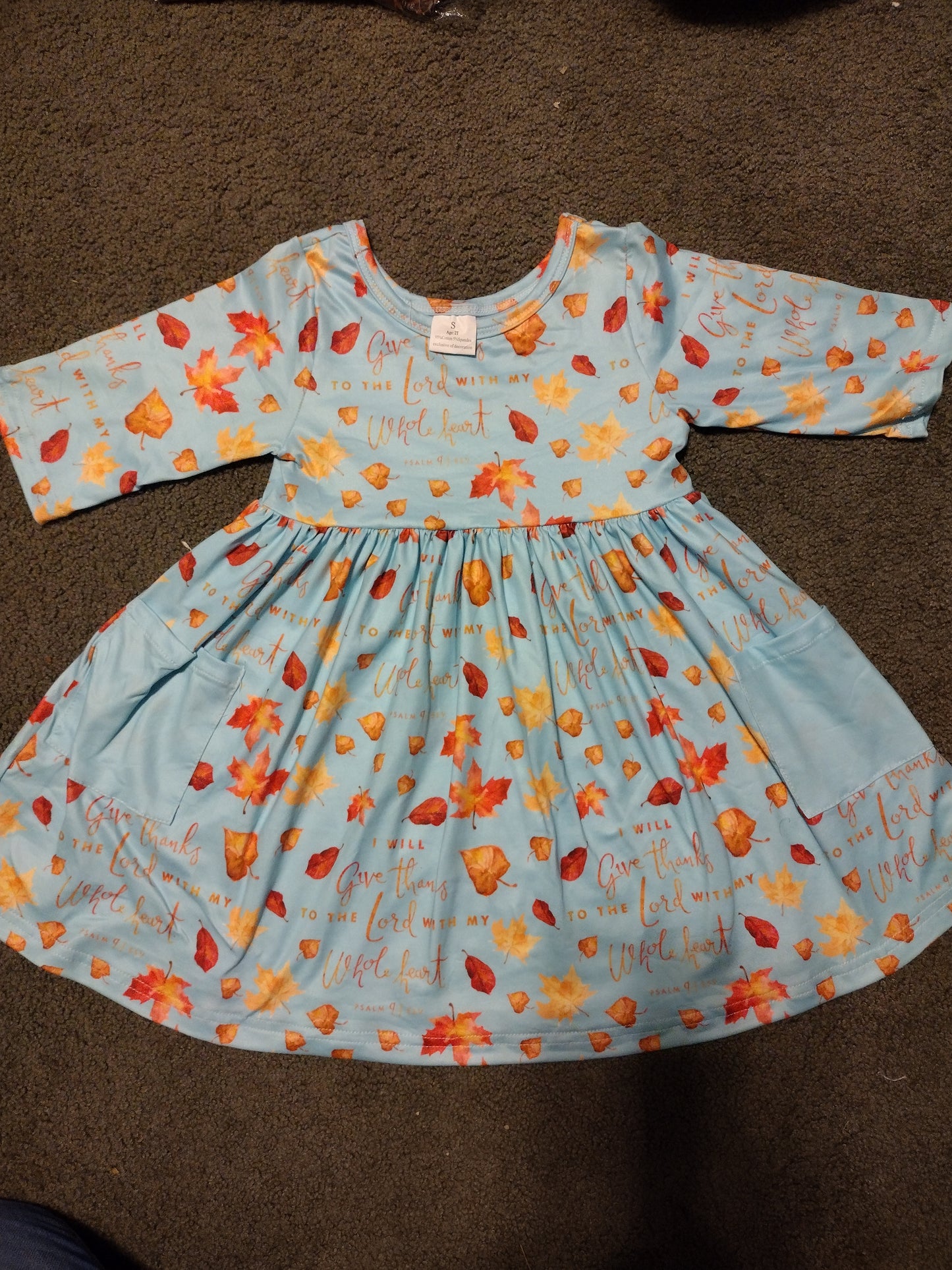 Give Thanks Twirl Pocket Dress